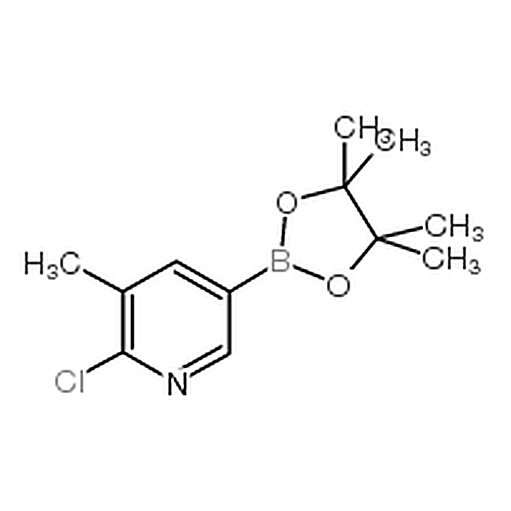RHAWN 2-Chloro-3-methylpyridine-5-boronic Acid Pinacol Ester