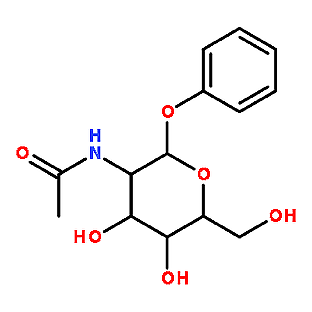 RHAWN Phenyl <i>N</i>-Acetyl--<small>D</small>-glucosaminide