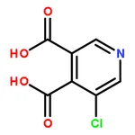 RHAWN 5-Chloropyridine-3,4-dicarboxylic acid
