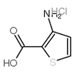 RHAWN 3-Aminothiophene-2-carboxylic acid hydrochloride