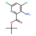 RHAWN tert-Butyl (4,6-dichloropyridin-2-yl)carbamate