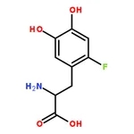 RHAWN 2-Amino-3-(2-fluoro-4,5-dihydroxyphenyl)propanoic acid