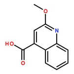RHAWN 2-Methoxyquinoline-4-carboxylic acid