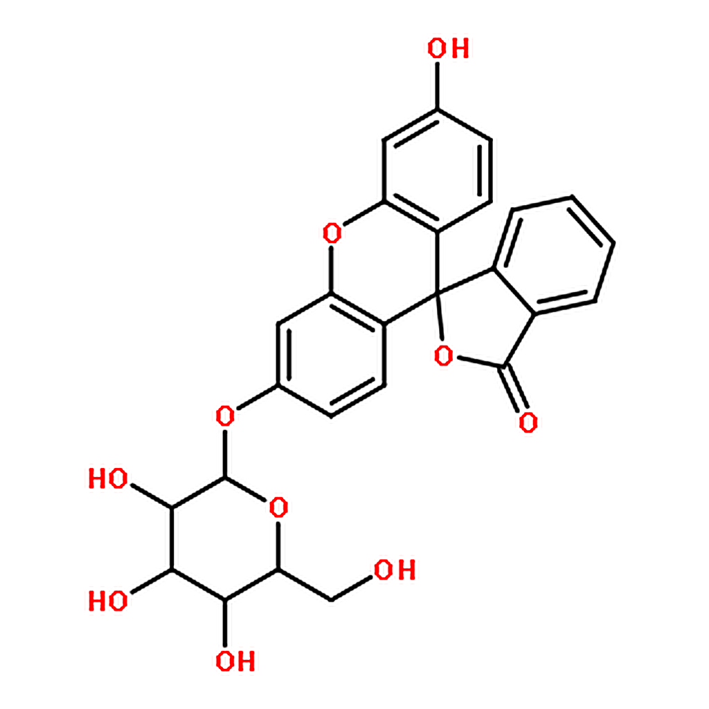 RHAWN Fluorescein mono--D-galactopyranoside