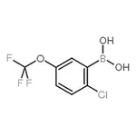 RHAWN (2-Chloro-5-(trifluoromethoxy)phenyl)boronic acid