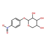 RHAWN p-Nitrophenyl -D-Xylopyranoside