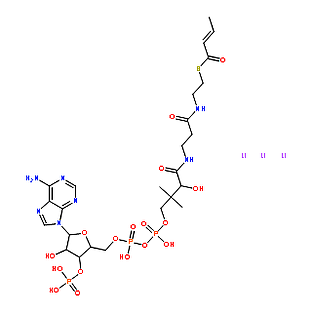 RHAWN 2-Butenoyl coenzyme A lithium salt