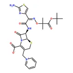 RHAWN Ceftazidime t-Butyl Ester