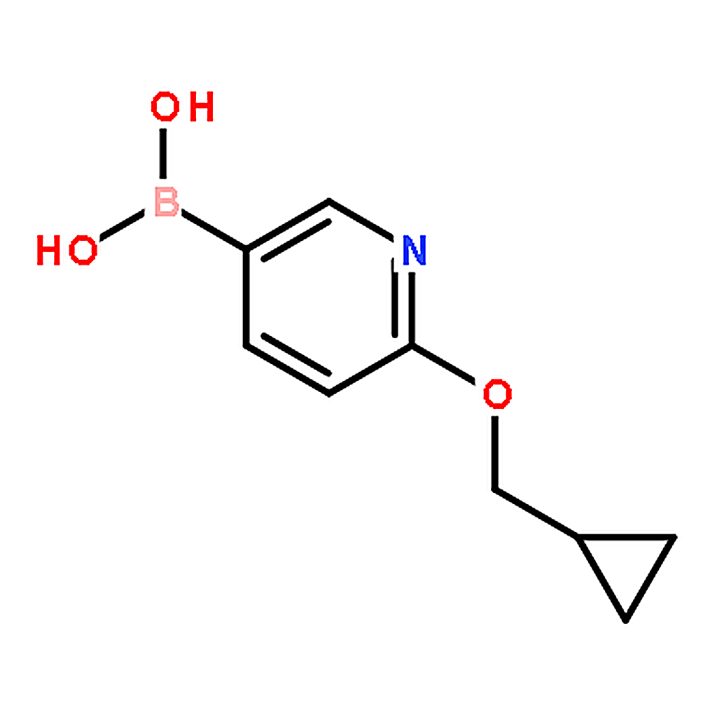 RHAWN (6-(Cyclopropylmethoxy)pyridin-3-yl)boronic acid