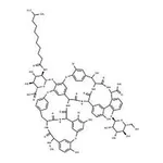 RHAWN Dalbavancin IMpurity - A40926-B0