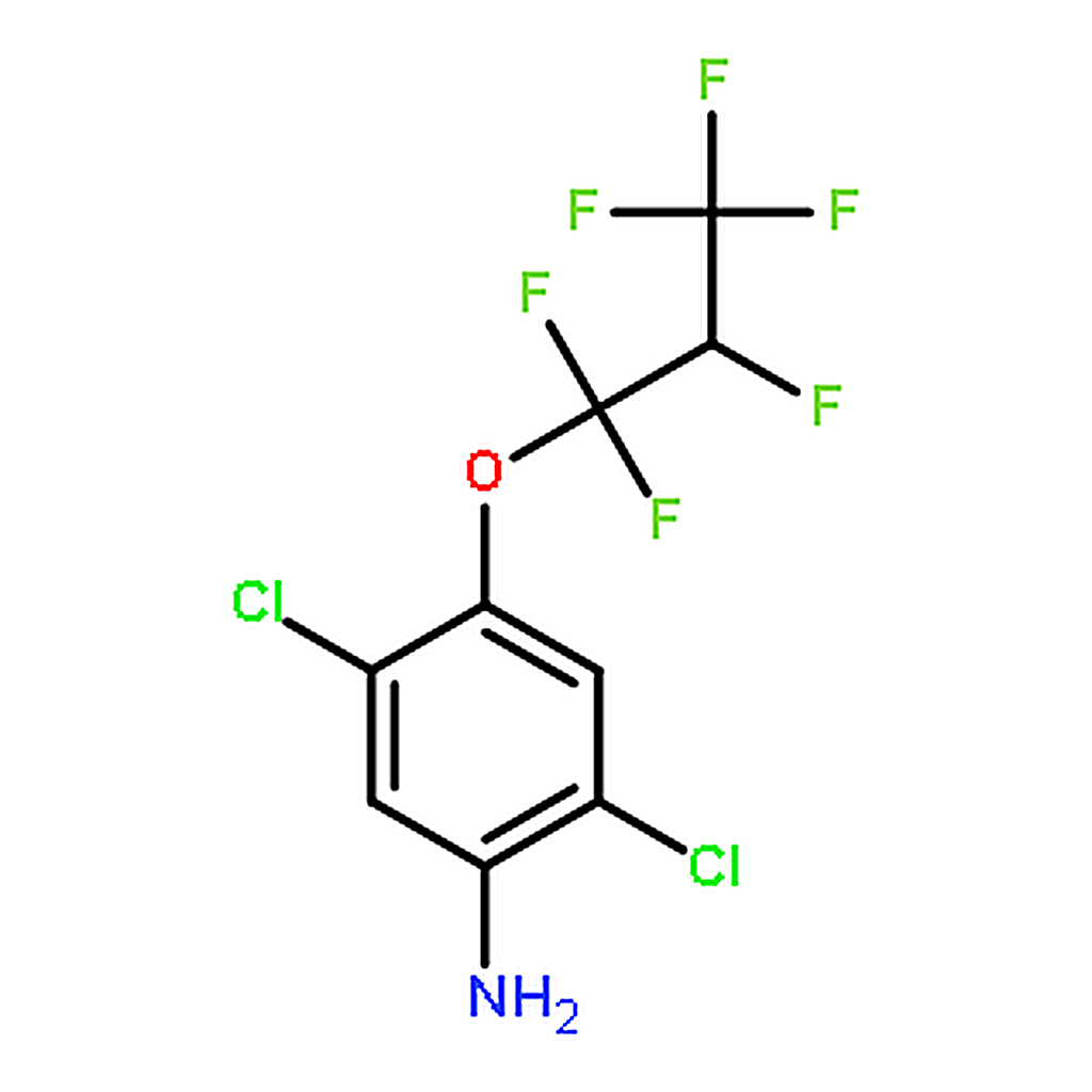 RHAWN 2,5-Dichloro-4-(1,1,2,3,3,3-hexafluoropropoxy)aniline