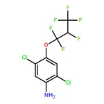 RHAWN 2,5-Dichloro-4-(1,1,2,3,3,3-hexafluoropropoxy)aniline