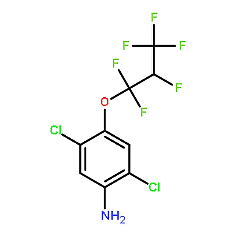 RHAWN 2,5-Dichloro-4-(1,1,2,3,3,3-hexafluoropropoxy)aniline