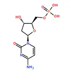 RHAWN 2▽-Deoxycytidine 5▽-monophosphate