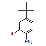 RHAWN 2-Bromo-4-(tert-butyl)aniline