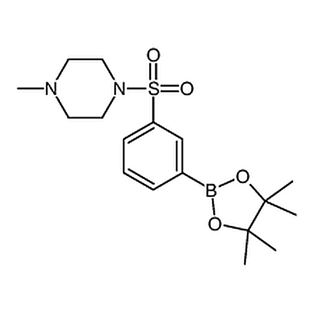 RHAWN 1-Methyl-4-((3-(4,4,5,5-tetramethyl-1,3,2-dioxaborolan-2-yl)phenyl)sulfonyl)piperazine