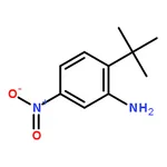 RHAWN 2-(tert-Butyl)-5-nitroaniline