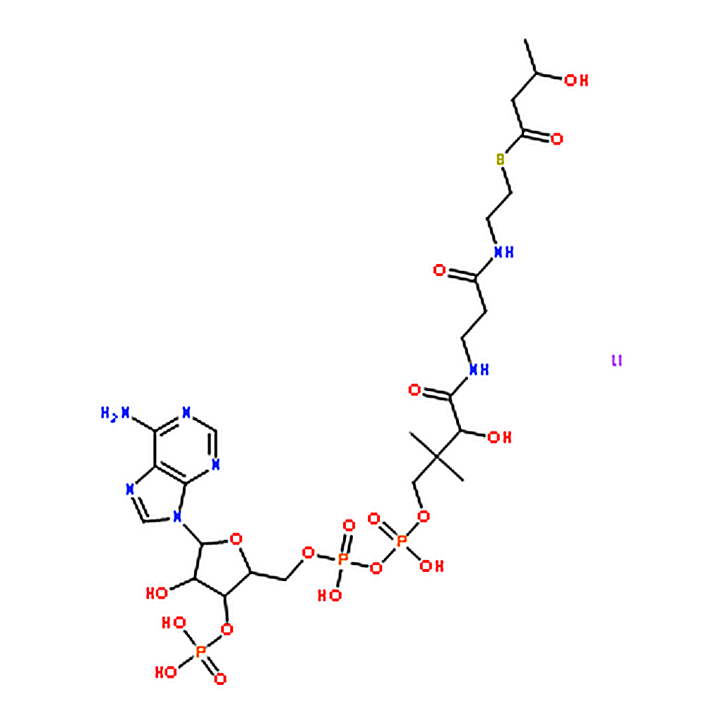 RHAWN DL-beta-Hydroxybutyryl coenzyme A lithium salt