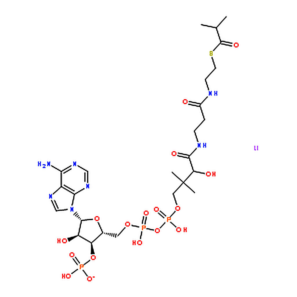 RHAWN Isobutyryl coenzyme A lithium salt
