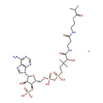 RHAWN Isobutyryl coenzyme A lithium salt