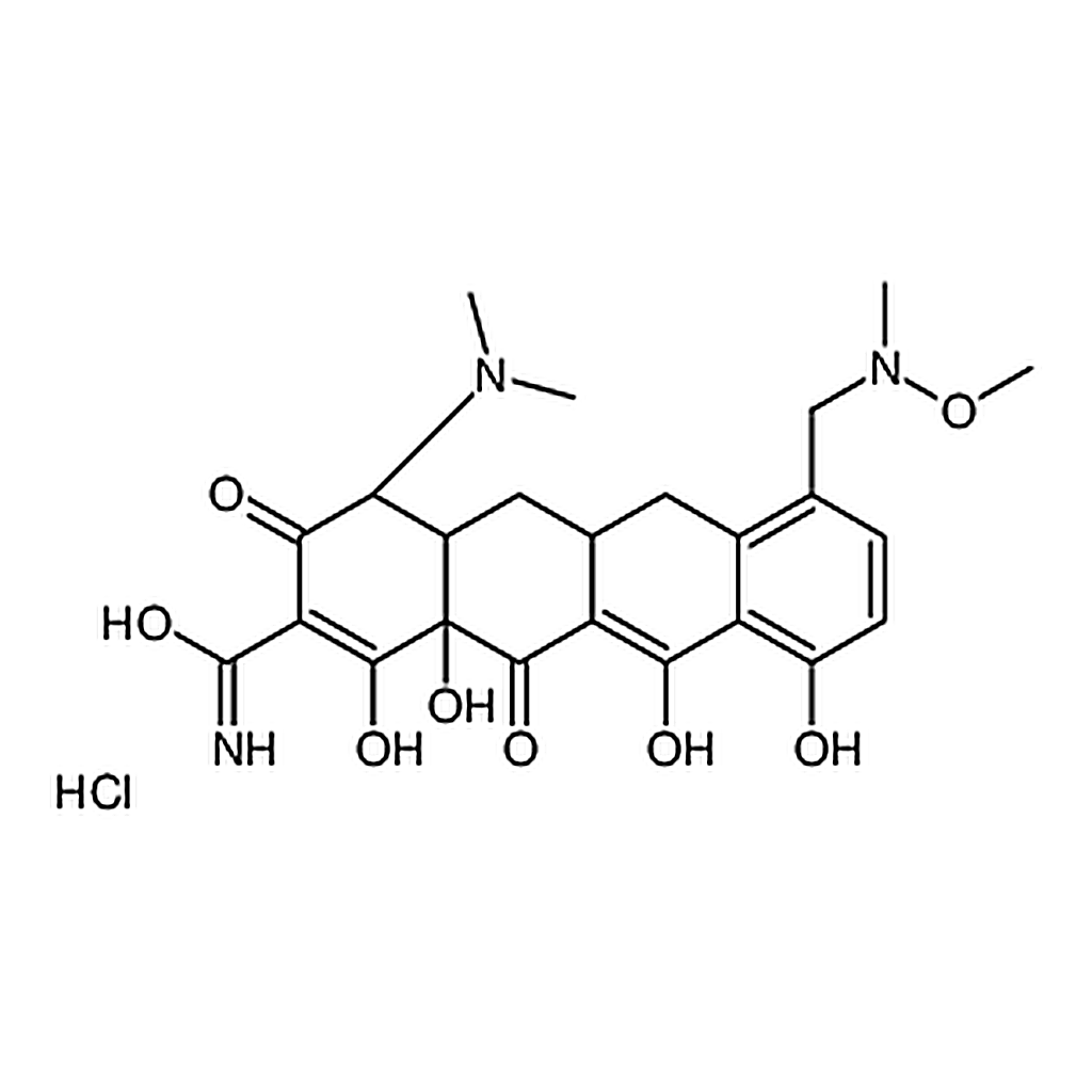 RHAWN Sarecycline hydrochloride