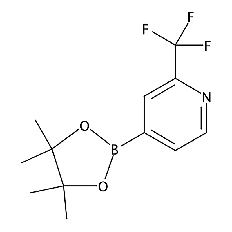 RHAWN 4-(4,4,5,5-Tetramethyl-1,3,2-dioxaborolan-2-yl)-2-(trifluoromethyl)pyridine