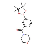 RHAWN 3-(4-Morpholinylcarbonyl)phenylboronic acid pinacol ester
