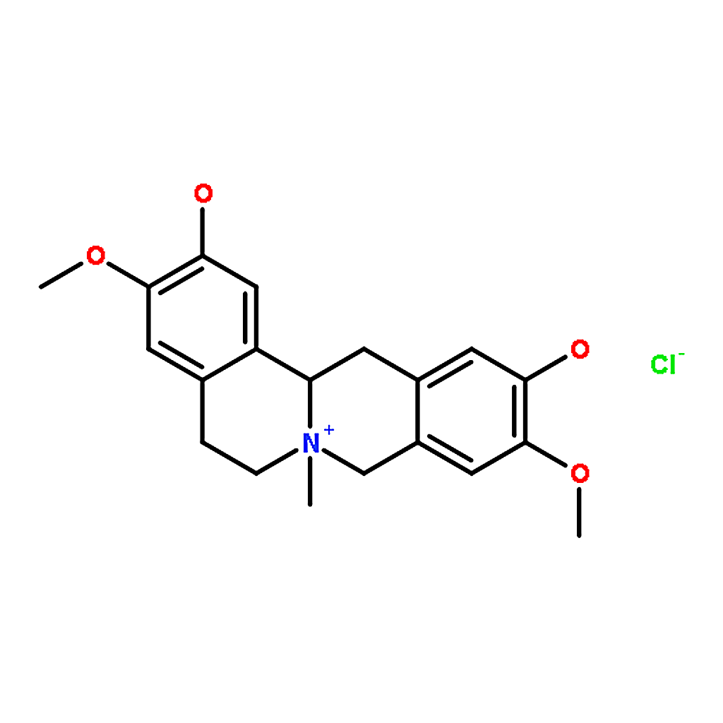 RHAWN Phellodendrine chloride