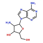 RHAWN 2'-Amino-2'-deoxyadenosine