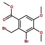 RHAWN Methyl 3-bromo-2-(bromomethyl)-4,5-dimethoxybenzoate