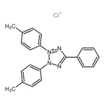 RHAWN 2,3-Di(<i>p</i>-tolyl)-5-phenyltetrazolium Chloride