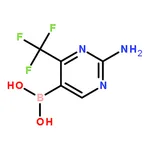 RHAWN 2-aMino-4-(trifluoroMethyl)pyriMidin-5-ylboronic acid