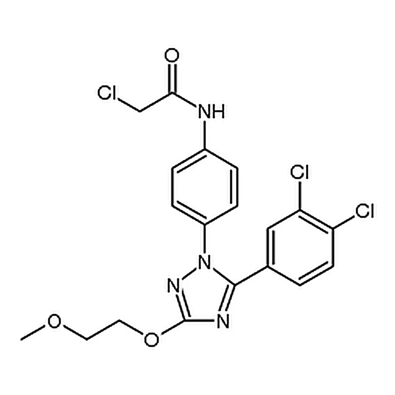 RHAWN MI 2 MALT1 inhibitor