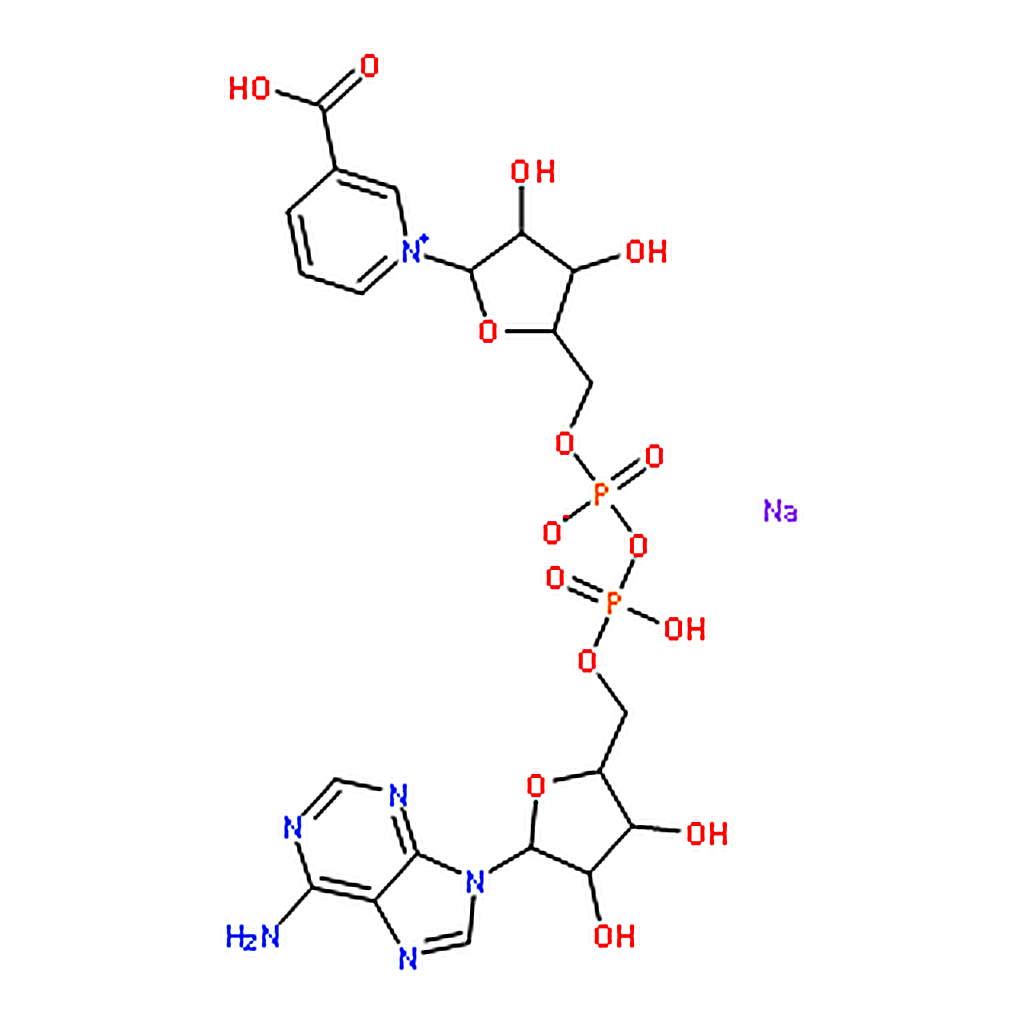 RHAWN Nicotinic acid adenine dinucleotide sodium salt