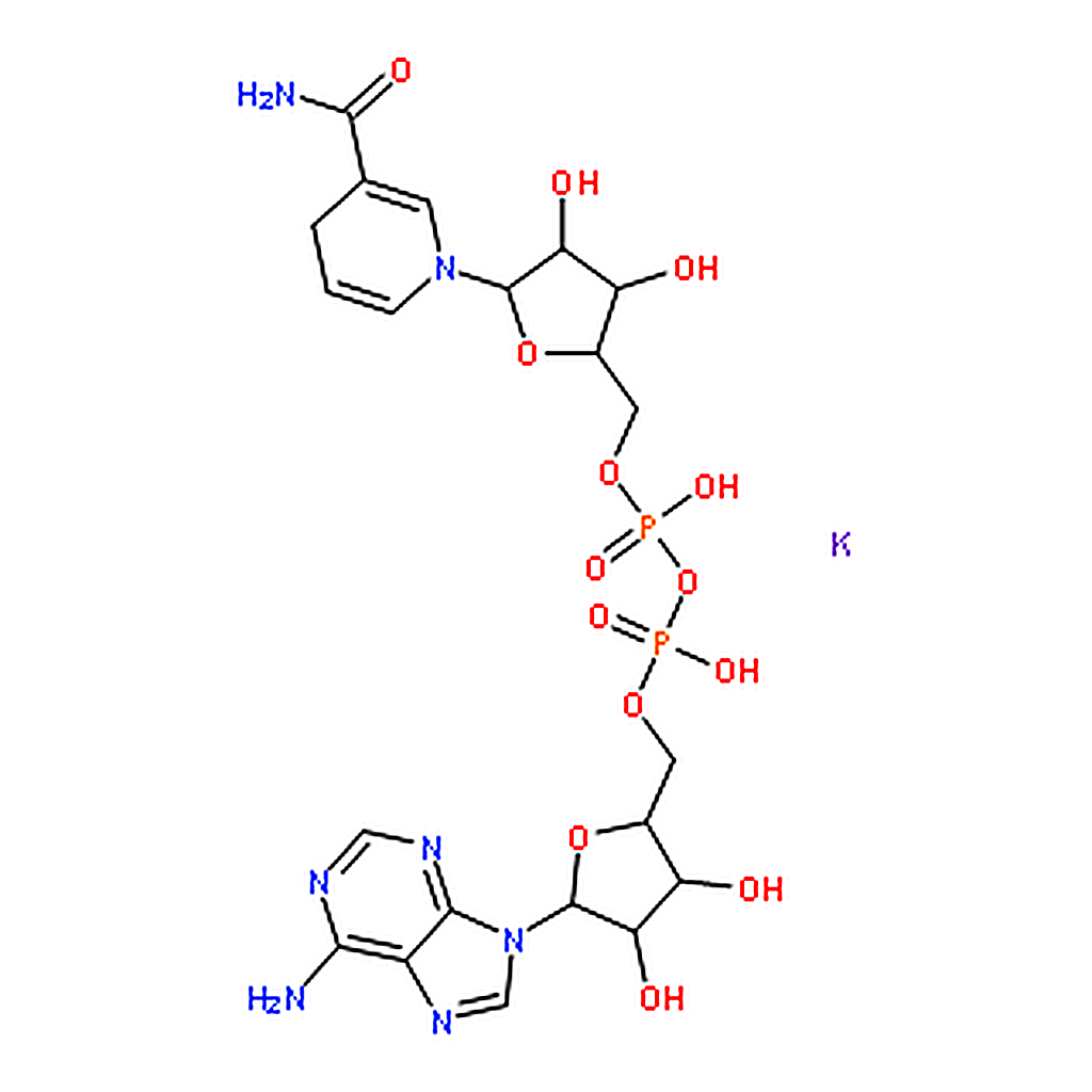 RHAWN beta-Nicotinamide adenine dinucleotide， reduced dipotassium salt