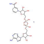 RHAWN beta-Nicotinamide adenine dinucleotide, reduced dipotassium salt