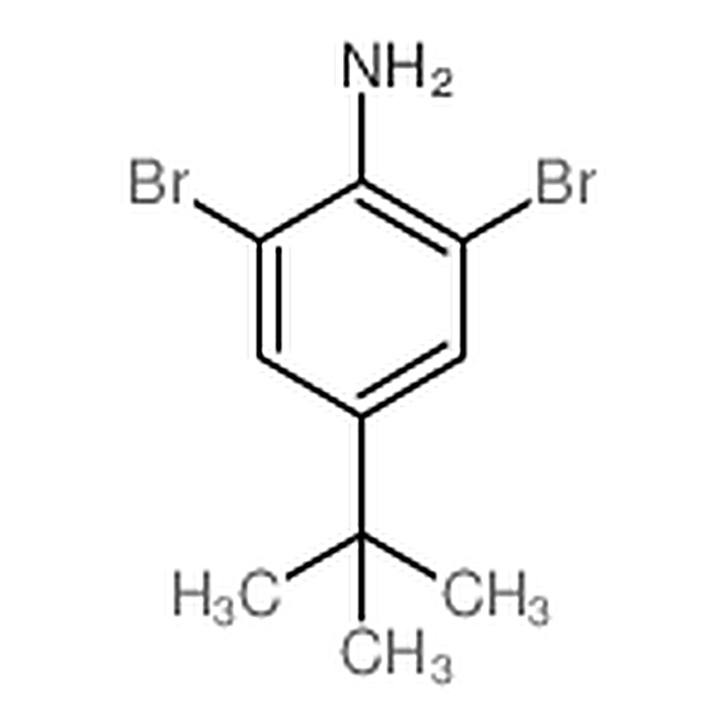 RHAWN 2,6-Dibromo-4-(tert-butyl)aniline