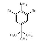 RHAWN 2,6-Dibromo-4-(tert-butyl)aniline