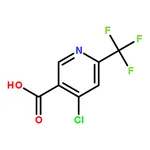 RHAWN 4-Chloro-6-(trifluoromethyl)nicotinic acid