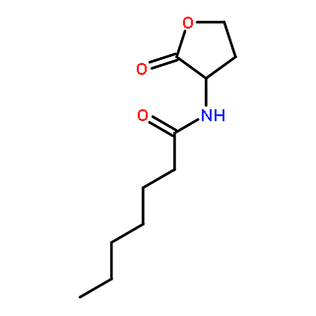 RHAWN N-Heptanoyl-DL-homoserinelactone