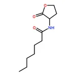 RHAWN N-Heptanoyl-DL-homoserinelactone