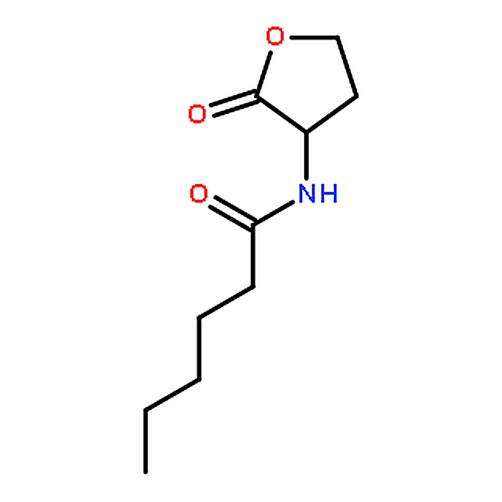 RHAWN N-Hexanoyl-DL-homoserine lactone