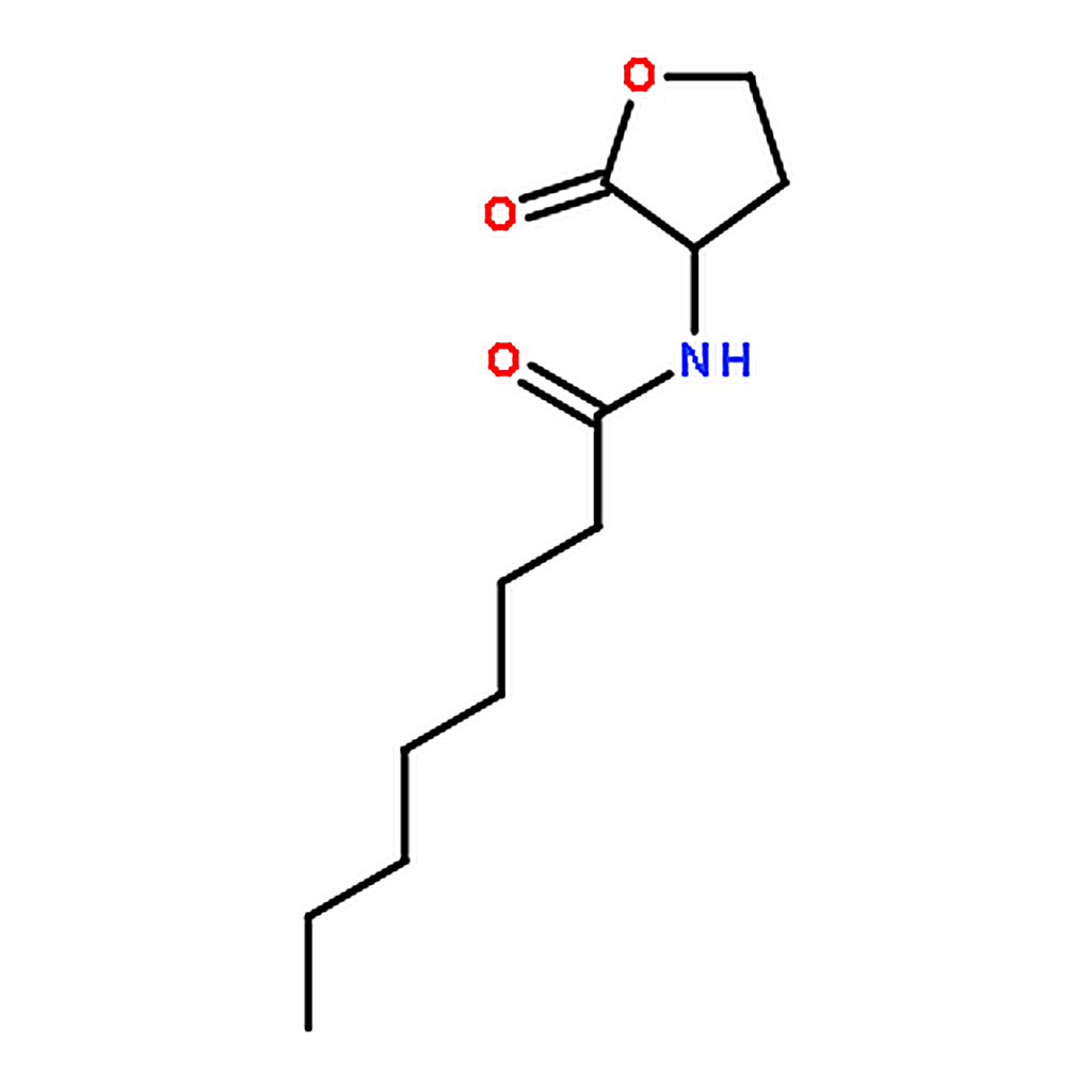 RHAWN N-Octanoyl-DL-homoserine lactone