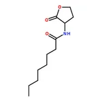 RHAWN N-Octanoyl-DL-homoserine lactone
