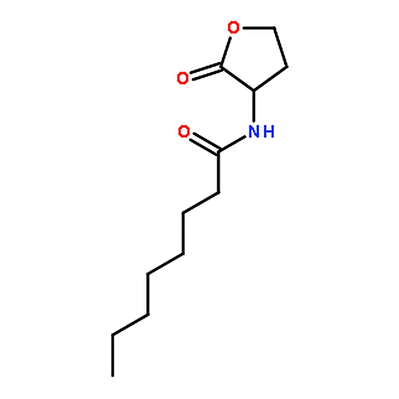 RHAWN N-Octanoyl-DL-homoserine lactone