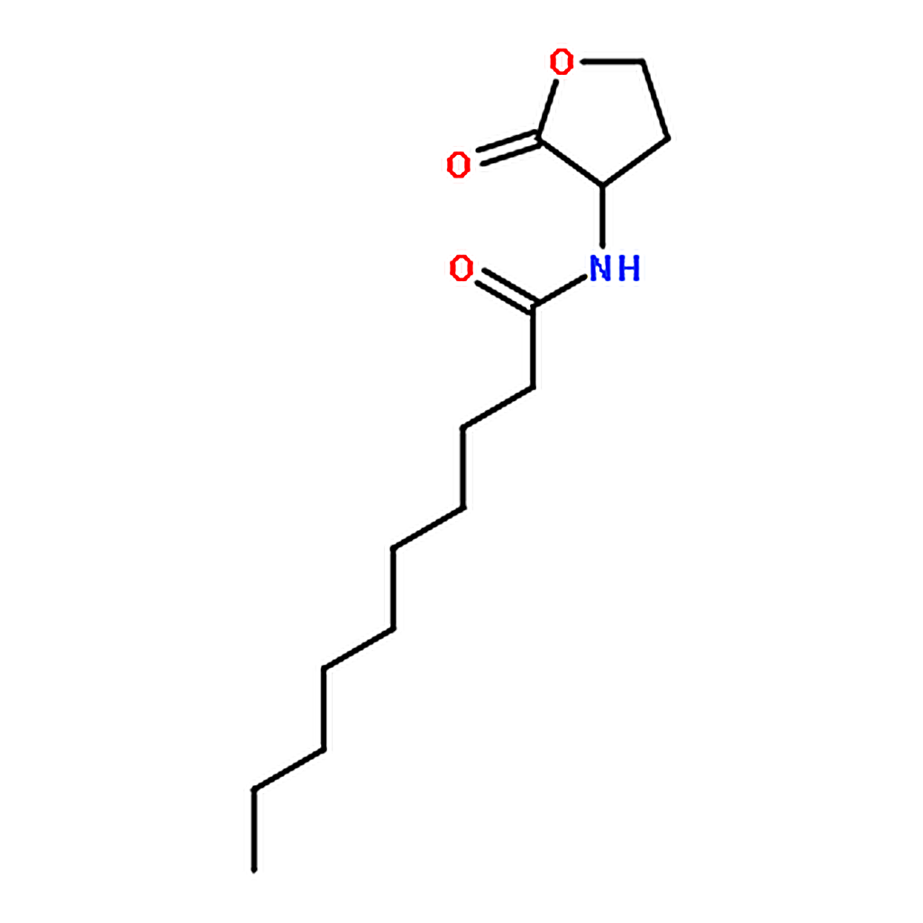 RHAWN N-DECANOYL-DL-HOMOSERINE LACTONE