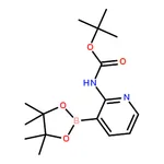 RHAWN 2-(Boc-amino)pyridine-3-boronic acid pinacol ester