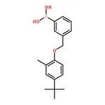 RHAWN (3-((4-(tert-Butyl)-2-methylphenoxy)methyl)phenyl)boronic acid