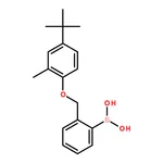 RHAWN (2-((4-(tert-Butyl)-2-methylphenoxy)methyl)phenyl)boronic acid