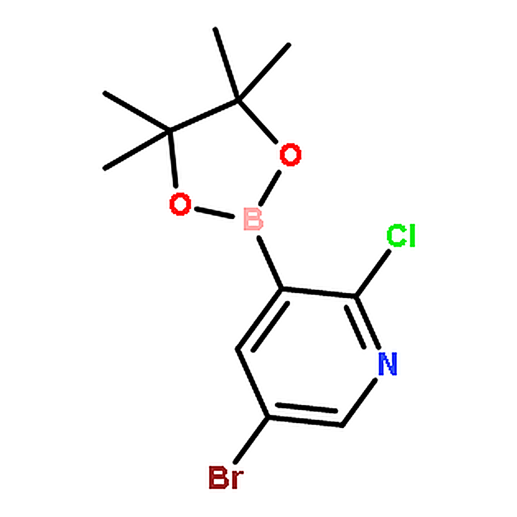 RHAWN 5-Bromo-2-chloropyridine-3-boronic acid pinacol ester